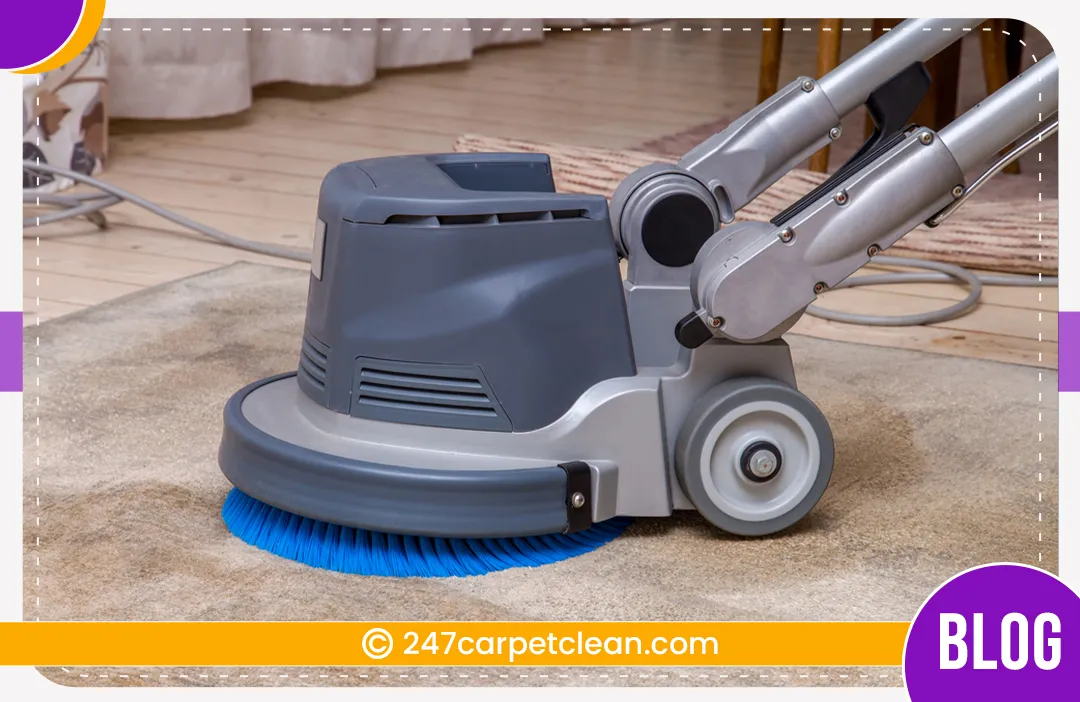 carpet cleaners in Bronx, carpet cleaning in Bronx, carpet cleaning bronx, carpet cleaners in bronx, commercial carpet cleaning, commercial carpet cleaning in bronx,carpet cleaning in bronx, bronx rug cleaners, rug cleaning services in bronx, same day carpet cleaning, same day rug cleaning
