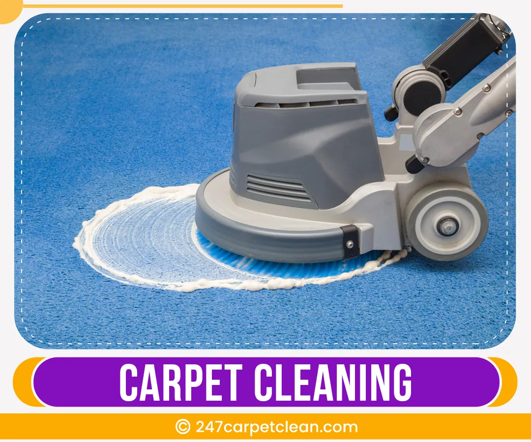 carpet cleaners in Bronx, carpet cleaning in Bronx, carpet cleaning bronx, carpet cleaners in bronx, commercial carpet cleaning, commercial carpet cleaning in bronx,carpet cleaning in bronx, bronx rug cleaners, rug cleaning services in bronx, same day carpet cleaning, same day rug cleaning