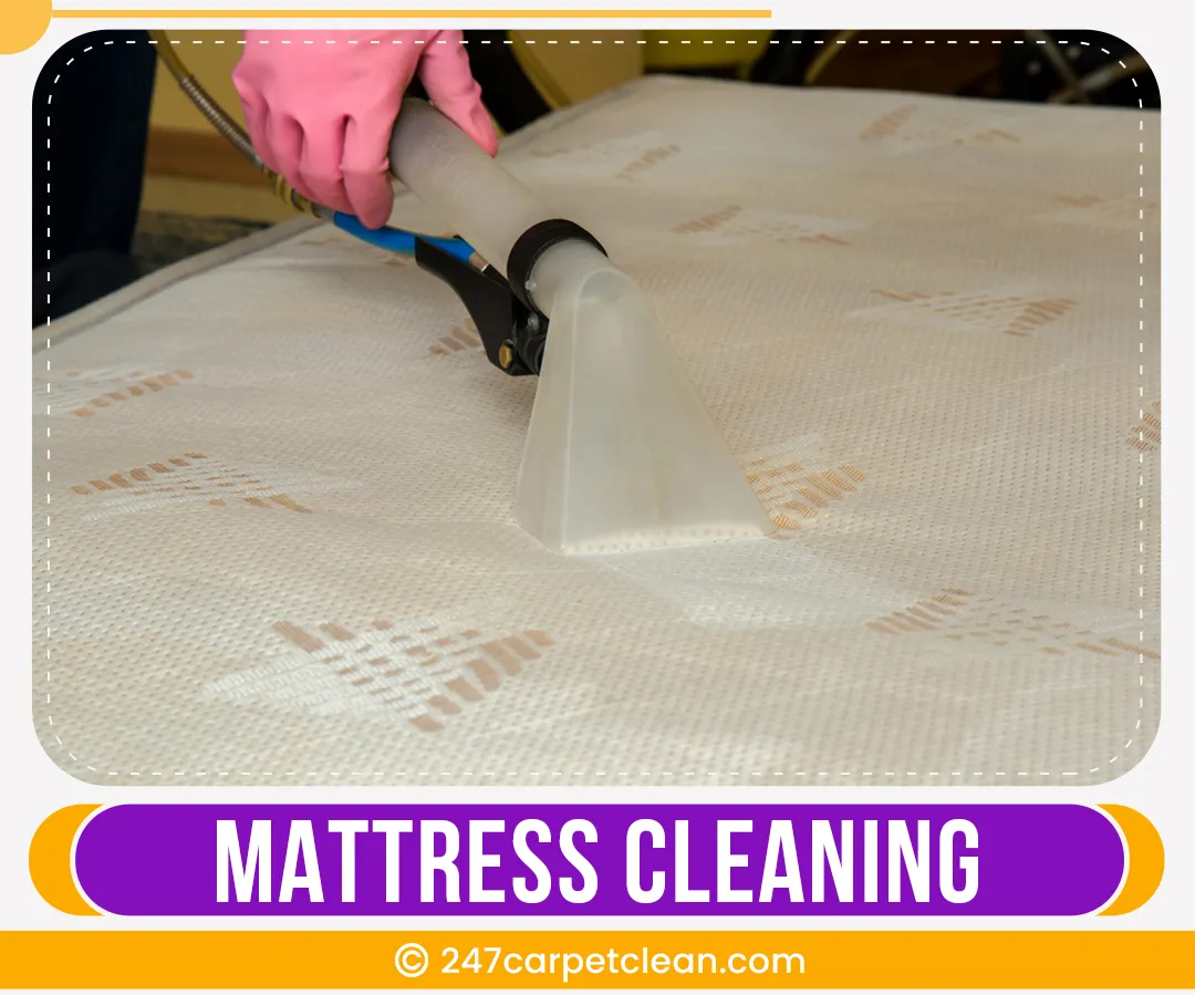 carpet cleaners in Bronx, carpet cleaning in Bronx, carpet cleaning bronx, carpet cleaners in bronx, commercial carpet cleaning, commercial carpet cleaning in bronx,carpet cleaning in bronx, bronx rug cleaners, rug cleaning services in bronx, same day carpet cleaning, same day rug cleaning