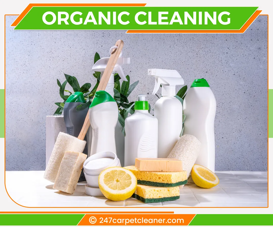 carpet cleaners in Staten Island, carpet cleaning in Staten Island, carpet cleaning staten island, carpet cleaners in staten island,  commercial carpet cleaning, commercial carpet cleaning in staten island,carpet cleaning in staten island,  staten island rug cleaners, rug cleaning services in staten island, same day carpet cleaning, same day rug cleaning