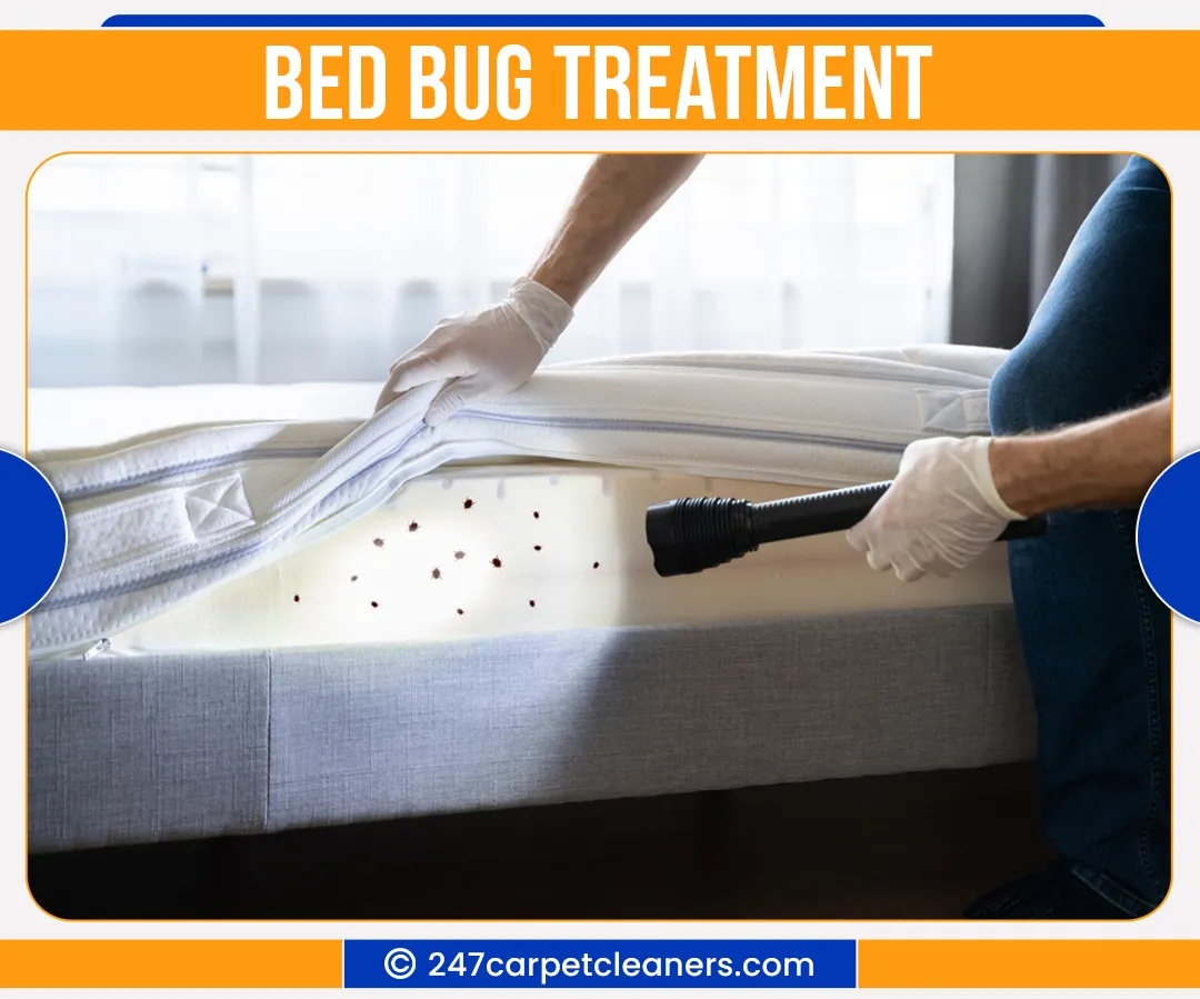 carpet cleaners in Nassau, carpet cleaning in Nassau, carpet cleaning nassau, carpet cleaners in nassau,  commercial carpet cleaning, commercial carpet cleaning in nassau,carpet cleaning in nassau,  nassau rug cleaners, rug cleaning services in nassau, same day carpet cleaning, same day rug cleaning