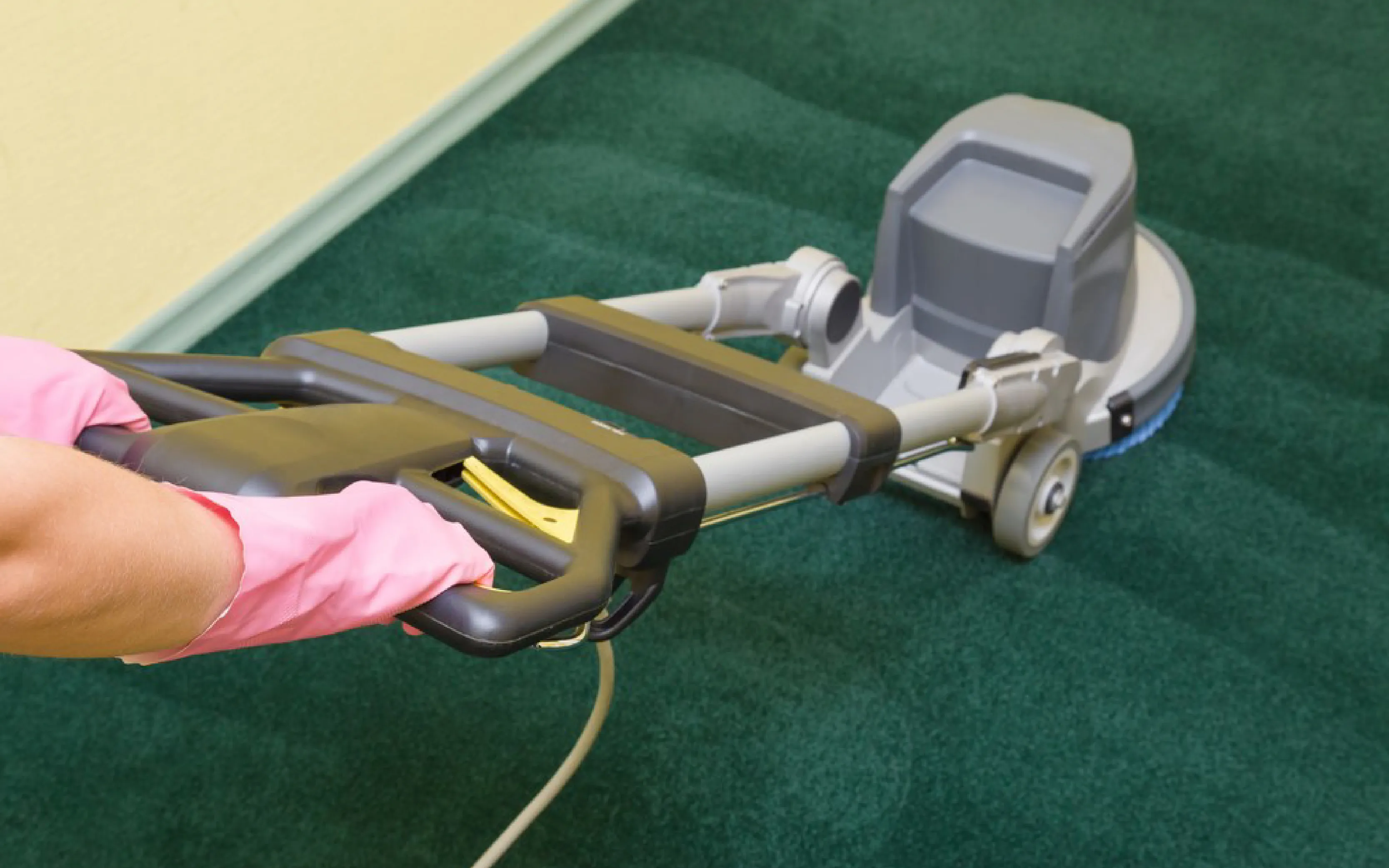 carpet cleaners in Nassau, carpet cleaning in Nassau, carpet cleaning Nassau, carpet cleaners in Nassau,  commercial carpet cleaning, commercial carpet cleaning in v,carpet cleaning in Nassau,  Nassau rug cleaners, rug cleaning services in Nassau, same day carpet cleaning, same day rug cleaning