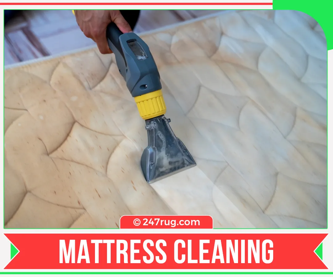 carpet cleaners in Nassau, carpet cleaning in Nassau, carpet cleaning Nassau, carpet cleaners in Nassau,  commercial carpet cleaning, commercial carpet cleaning in v,carpet cleaning in Nassau,  Nassau rug cleaners, rug cleaning services in Nassau, same day carpet cleaning, same day rug cleaning
