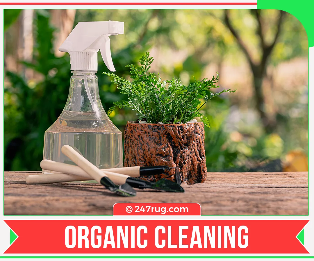 carpet cleaners in Nassau, carpet cleaning in Nassau, carpet cleaning Nassau, carpet cleaners in Nassau,  commercial carpet cleaning, commercial carpet cleaning in v,carpet cleaning in Nassau,  Nassau rug cleaners, rug cleaning services in Nassau, same day carpet cleaning, same day rug cleaning