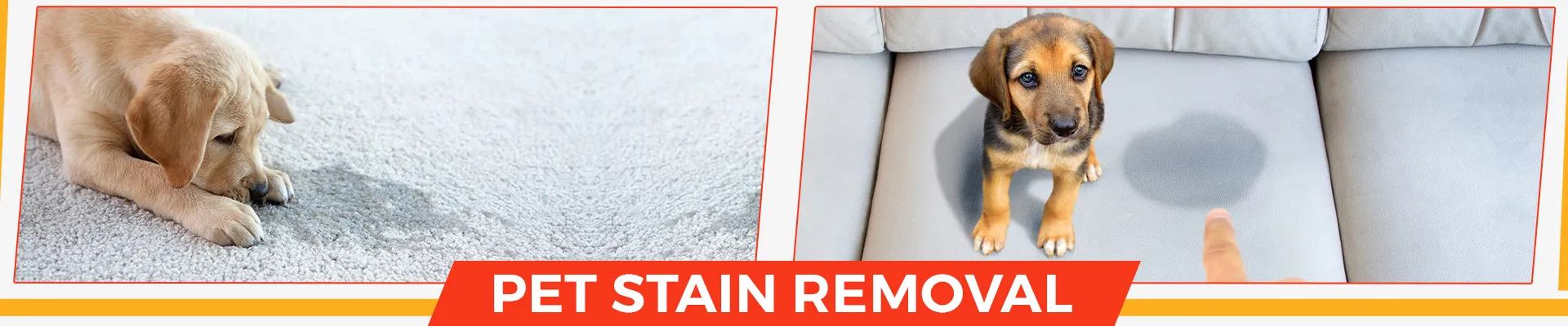carpet cleaning in suffolk, carpet cleaning suffolk, carpet cleaners in suffolk, carpet cleaners in suffolk, commercial carpet cleaning, commercial carpet cleaning in suffolk, suffolk rug cleaners, rug cleaning services in suffolk, same day carpet cleaning, same day rug cleaning in suffolk