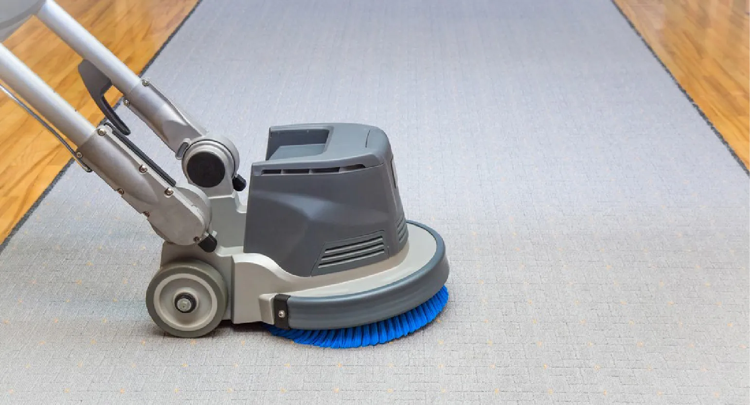 carpet cleaning in Nassau, carpet cleaner in Nassau, carpet cleaners in Nassau, carpet cleaners in new york, commercial carpet cleaning, commercial carpet cleaning in Nassau, rug cleaning in Nassau,rug cleaners Nassau, Nassau rug cleaners, rug cleaning services in Nassau, same day carpet cleaning,pet cleaning in Nassau, pet cleaner in Nassau, pet cleaners in Nassau, pet cleaners in new york, organic cleaning in Nassau, organic cleaner in Nassau, organic cleaners in Nassau, organic cleaners in new york, mattress cleaning in Nassau, mattress cleaner in Nassau, upholstery cleaners in Nassau, upholstery cleaners in new york, Miscellaneous cleaning in Nassau, Miscellaneous cleaner in Nassau, bed bug cleaners in Nassau, bed bug cleaners in new york, damage service in Nassau, allergy control in Nassau, same day rug cleaning
