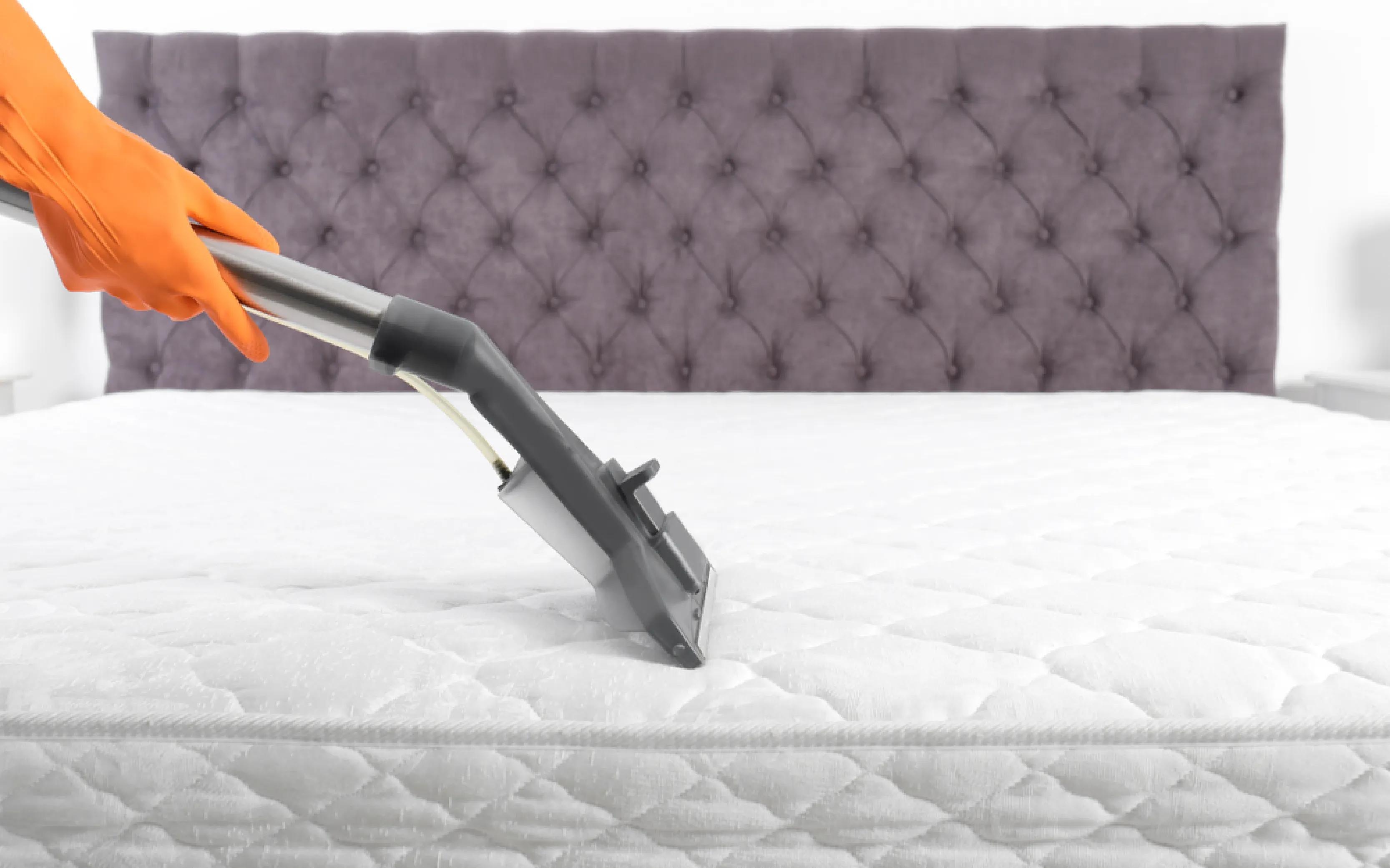 carpet cleaning in rockland, carpet cleaner in rockland, carpet cleaners in rockland, carpet cleaners in rockland, drapery cleaners in rockland, carpet cleaning in rockland, mattress cleaning in rockland, mattress cleaners in rockland, commercial carpet cleaning, commercial carpet cleaners in rockland, rockland rug cleaners, rug cleaning services in rockland same day carpet cleaning, same day rug cleaning