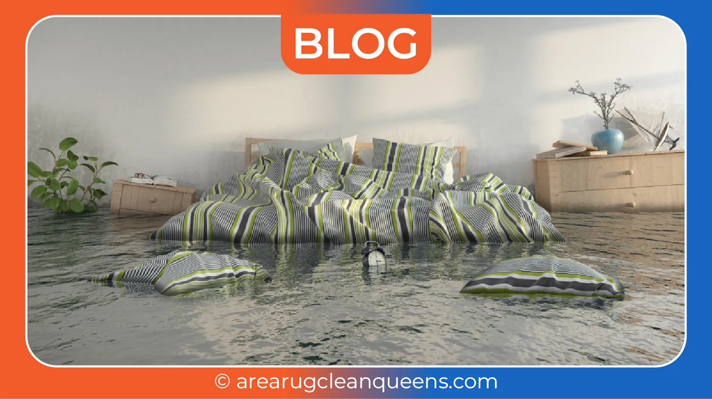carpet cleaning in queens, carpet cleaning queens, carpet cleaners in queens, carpet cleaners in queens, commercial carpet cleaning, commercial carpet cleaning in queens, queens rug cleaners, rug cleaning services in queens, same day carpet cleaning, same day rug cleaning in queens