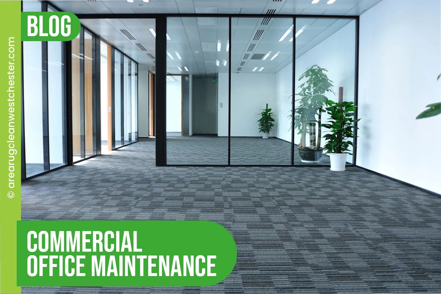 carpet cleaning in westchester, carpet cleaning westchester, carpet cleaners in westchester, carpet cleaners in westchester, commercial carpet cleaning, commercial carpet cleaning in westchester, westchester rug cleaners, rug cleaning services in westchester, same day carpet cleaning, same day rug cleaning in westchester