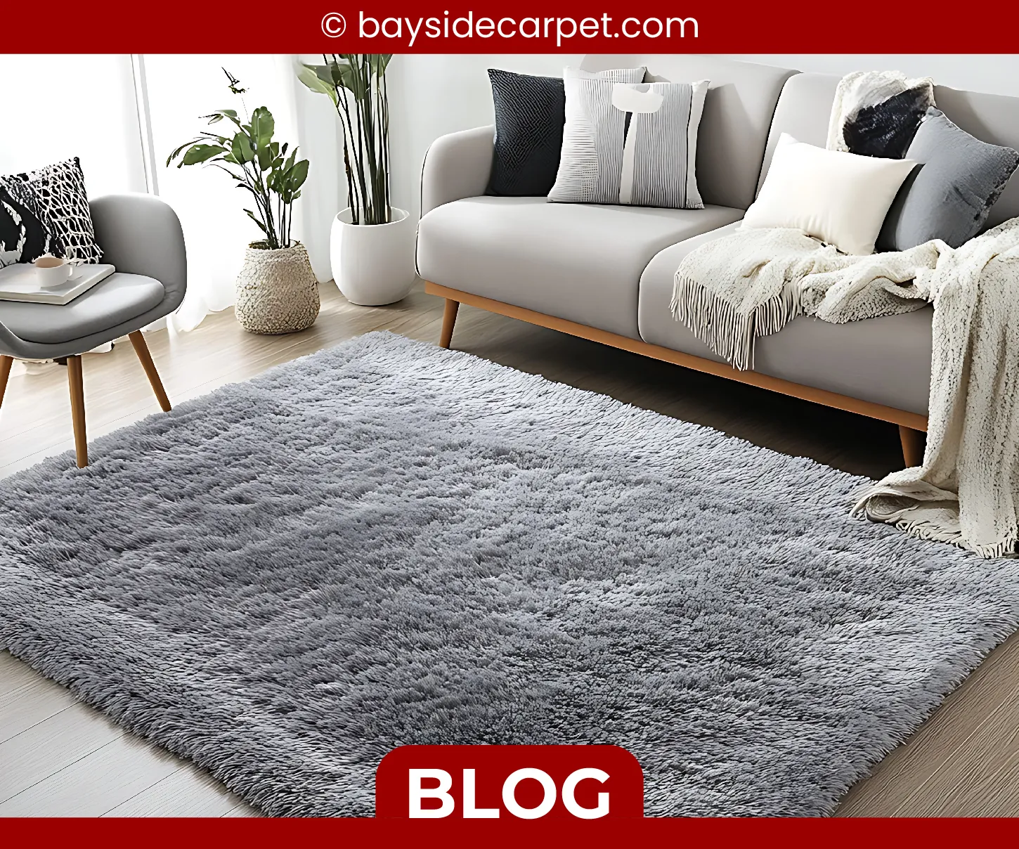 carpet cleaning in queens, carpet cleaning queens, carpet cleaners in queens, carpet cleaners in queens, commercial carpet cleaning, commercial carpet cleaning in queens, queens rug cleaners, rug cleaning services in queens, same day carpet cleaning, same day rug cleaning in queens