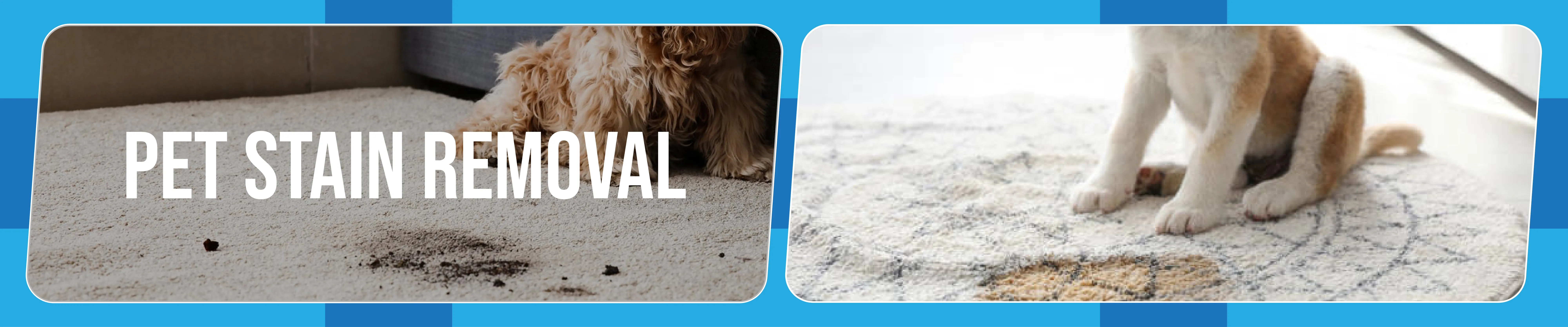 carpet cleaning in queens, carpet cleaning queens, carpet cleaners in queens, carpet cleaners in queens, commercial carpet cleaning, commercial carpet cleaning in queens, queens rug cleaners, rug cleaning services in queens, same day carpet cleaning, same day rug cleaning in queens