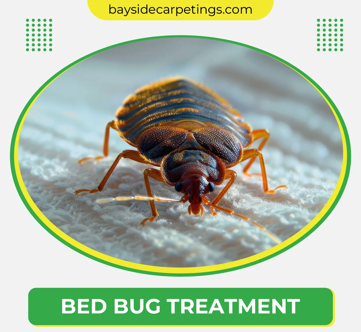 carpet cleaning in queens, carpet cleaning queens, carpet cleaners in queens, carpet cleaners in queens, commercial carpet cleaning, commercial carpet cleaning in queens, queens rug cleaners, rug cleaning services in queens, same day carpet cleaning, same day rug cleaning in queens