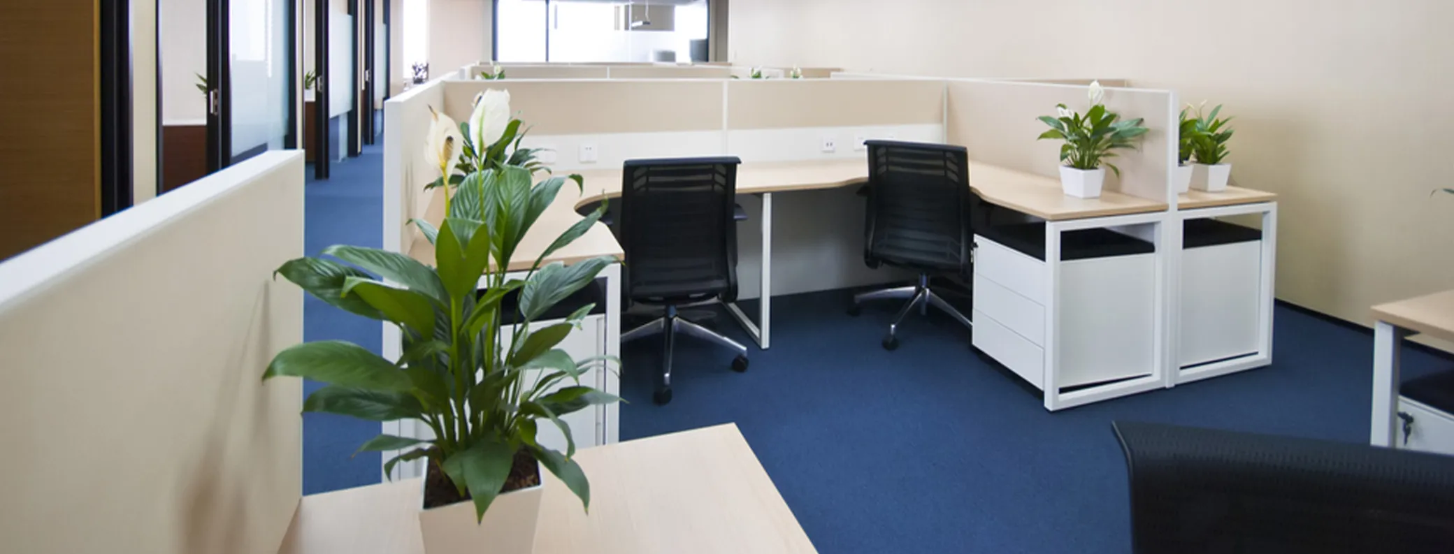 carpet cleaning in Bronx, carpet cleaner in Bronx, carpet cleaners in Bronx, carpet cleaners in Bronx, drapery cleaners in Bronx, carpet cleaning in Bronx, mattress cleaning in Bronx, mattress cleaners in Bronx, commercial carpet cleaning, commercial carpet cleaners in Bronx, Bronx rug cleaners, rug cleaning services in Bronx same day carpet cleaning, same day rug cleaning