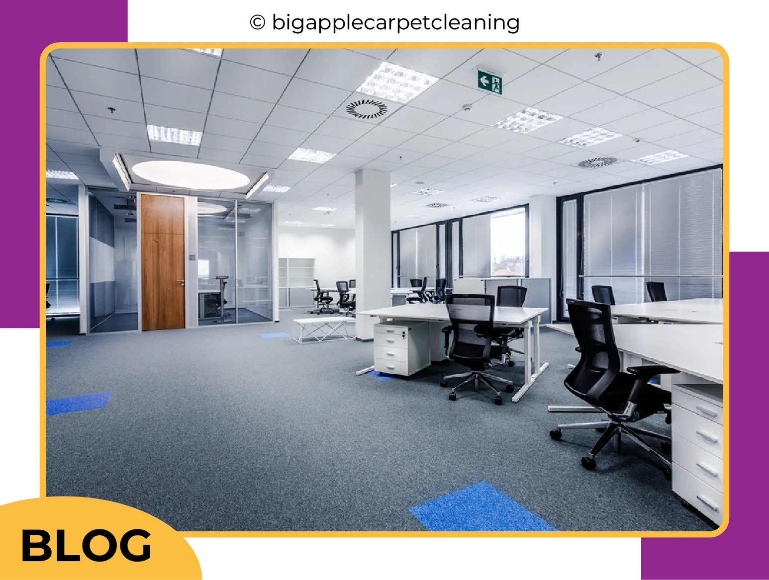 carpet cleaning in new york, carpet cleaning new york, carpet cleaners in new york, carpet cleaners in new york, commercial carpet cleaning, commercial carpet cleaning in new york, new york rug cleaners, rug cleaning services in new york, same day carpet cleaning, same day rug cleaning in new york