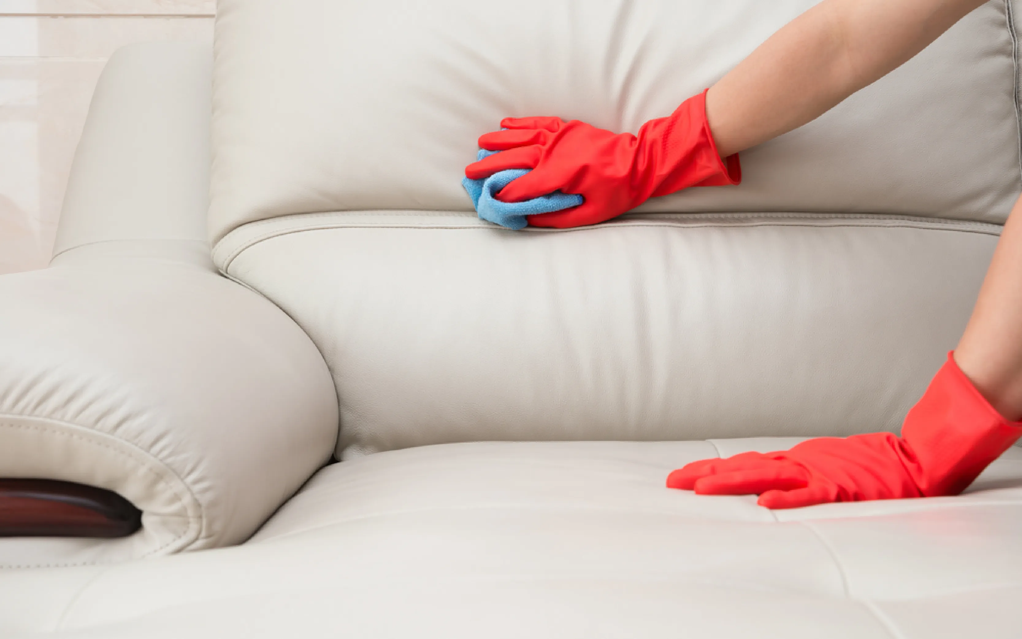 carpet cleaning in new york, carpet cleaning new york, carpet cleaners in new york, carpet cleaners in new york, commercial carpet cleaning, commercial carpet cleaning in new york, new york rug cleaners, rug cleaning services in new york, same day carpet cleaning, same day rug cleaning in new york