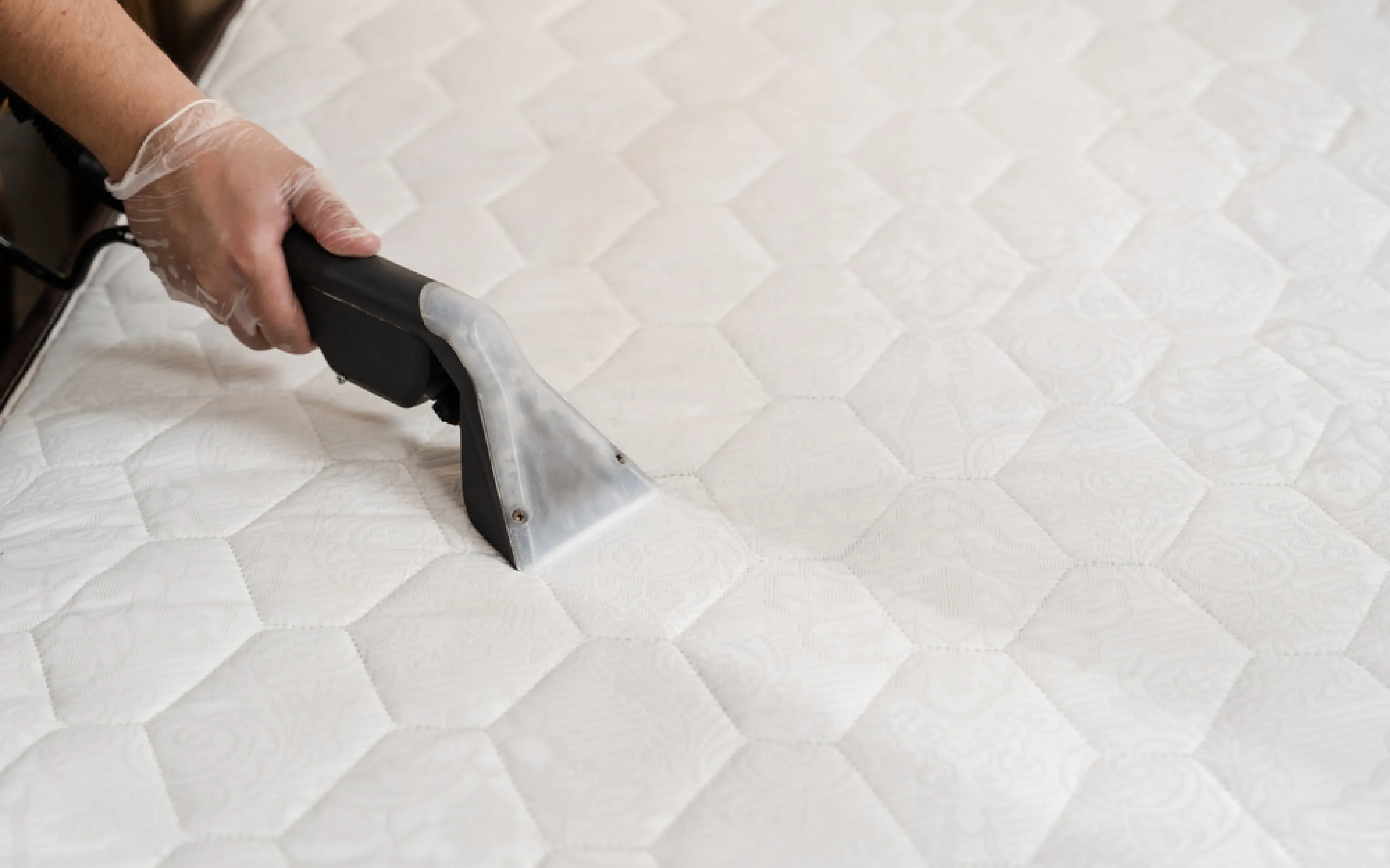 carpet cleaning in new york, carpet cleaning new york, carpet cleaners in new york, carpet cleaners in new york, commercial carpet cleaning, commercial carpet cleaning in new york, new york rug cleaners, rug cleaning services in new york, same day carpet cleaning, same day rug cleaning in new york