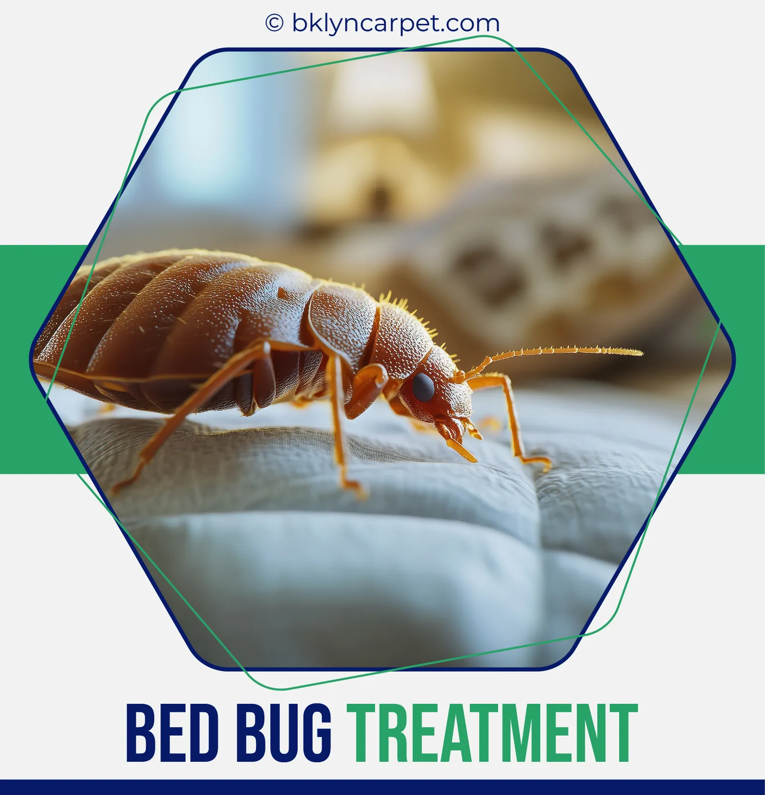 carpet cleaners in Brooklyn, carpet cleaning in Brooklyn, carpet cleaning bkln, carpet cleaners in brooklyn,  commercial carpet cleaning, commercial carpet cleaning in brooklyn,carpet cleaning in brooklyn,  brooklyn rug cleaners, rug cleaning services in brooklyn, same day carpet cleaning, same day rug cleaning