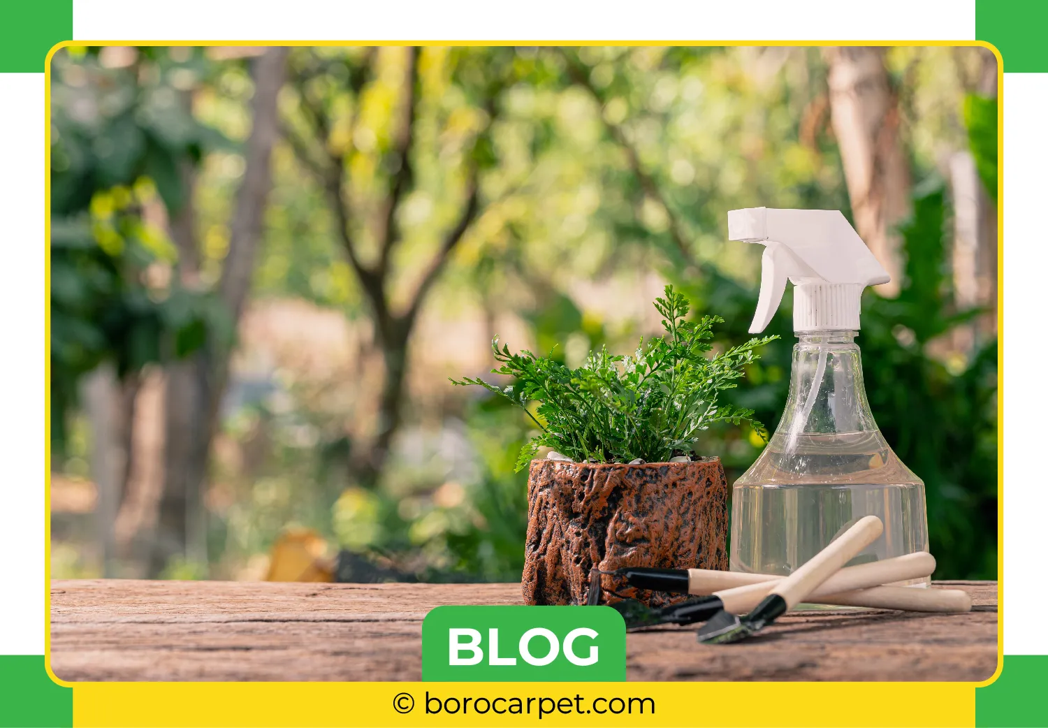 carpet cleaners in Brooklyn, carpet cleaning in Brooklyn, carpet cleaning bkln, carpet cleaners in brooklyn,  commercial carpet cleaning, commercial carpet cleaning in brooklyn,carpet cleaning in brooklyn,  brooklyn rug cleaners, rug cleaning services in brooklyn, same day carpet cleaning, same day rug cleaning