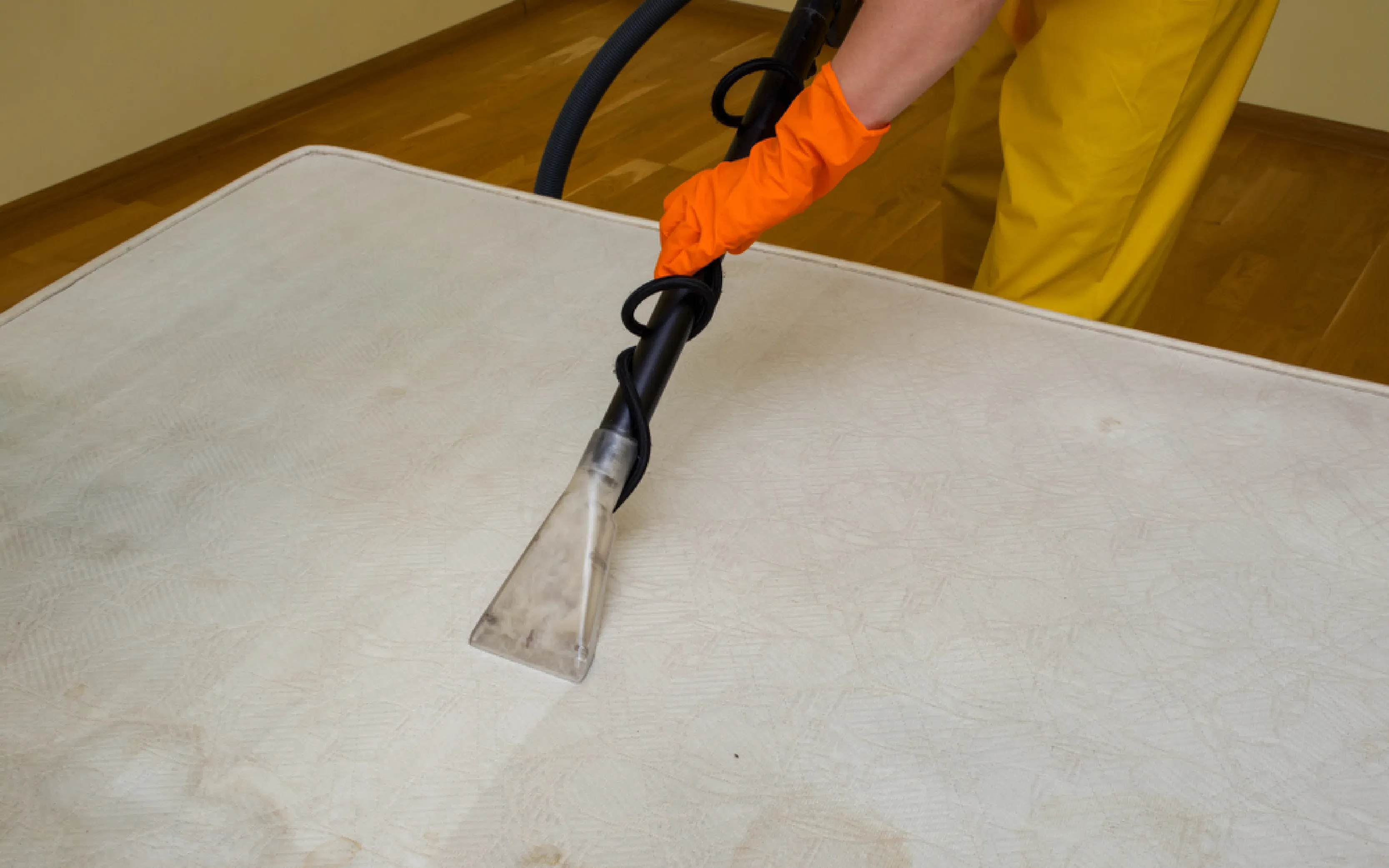 carpet cleaning in new york, carpet cleaning new york, carpet cleaners in new york, carpet cleaners in new york, commercial carpet cleaning, commercial carpet cleaning in new york, new york rug cleaners, rug cleaning services in new york, same day carpet cleaning, same day rug cleaning in new york