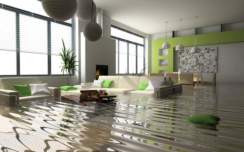carpet cleaning in new york, carpet cleaning new york, carpet cleaners in new york, carpet cleaners in new york, commercial carpet cleaning, commercial carpet cleaning in new york, new york rug cleaners, rug cleaning services in new york, same day carpet cleaning, same day rug cleaning in new york