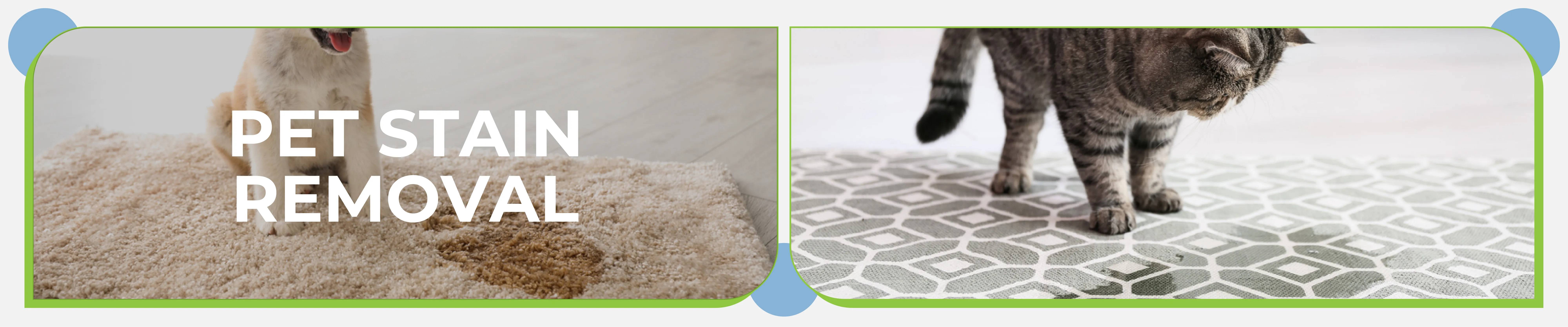 carpet cleaning in NYC, carpet cleaning in new york, carpet cleaning NYC, carpet cleaners in NYC, carpet cleaners in new york, commercial carpet cleaning, commercial carpet cleaning in NYC, NYC rug cleaners, rug cleaning services in NYC, same day carpet cleaning, same day rug cleaning