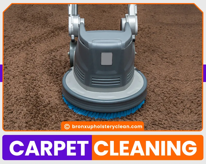 carpet cleaning in bronx, carpet cleaning in new york, carpet cleaning bronx, carpet cleaners in bronx, carpet cleaners in new york, commercial carpet cleaning, commercial carpet cleaning in bronx, bronx rug cleaners, rug cleaning services in bronx, same day carpet cleaning, same day rug cleaning