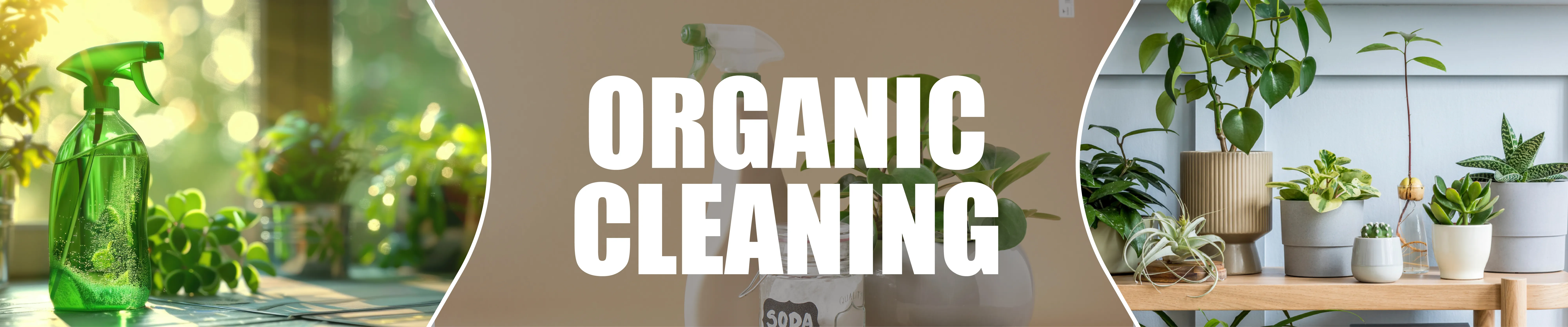 carpet cleaning in brooklyn, carpet cleaning in brooklyn, carpet cleaning brooklyn, carpet cleaners in brooklyn, carpet cleaners in brooklyn, commercial carpet cleaning, commercial carpet cleaning in brooklyn, brooklyn rug cleaners, rug cleaning services in brooklyn, same day carpet cleaning, same day rug cleaning