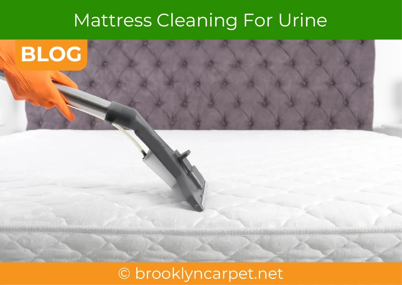 carpet cleaning in brooklyn, carpet cleaning in new york, carpet cleaning brooklyn, carpet cleaners in brooklyn, carpet cleaners in new york, commercial carpet cleaning, commercial carpet cleaning in brooklyn, brooklyn rug cleaners, rug cleaning services in brooklyn, same day carpet cleaning, same day rug cleaning