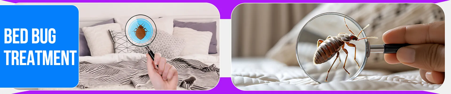 carpet cleaning in brooklyn, carpet cleaning in brooklyn, carpet cleaning brooklyn, carpet cleaners in brooklyn, carpet cleaners in brooklyn, commercial carpet cleaning, commercial carpet cleaning in brooklyn, brooklyn rug cleaners, rug cleaning services in brooklyn, same day carpet cleaning, same day rug cleaning