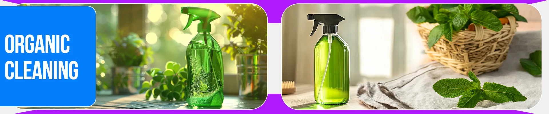 carpet cleaning in brooklyn, carpet cleaning in brooklyn, carpet cleaning brooklyn, carpet cleaners in brooklyn, carpet cleaners in brooklyn, commercial carpet cleaning, commercial carpet cleaning in brooklyn, brooklyn rug cleaners, rug cleaning services in brooklyn, same day carpet cleaning, same day rug cleaning