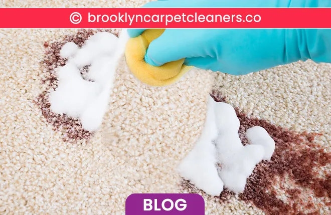 carpet cleaning in brooklyn, carpet cleaning in new york, carpet cleaning brooklyn, carpet cleaners in brooklyn, carpet cleaners in new york, commercial carpet cleaning, commercial carpet cleaning in brooklyn, brooklyn rug cleaners, rug cleaning services in brooklyn, same day carpet cleaning, same day rug cleaning