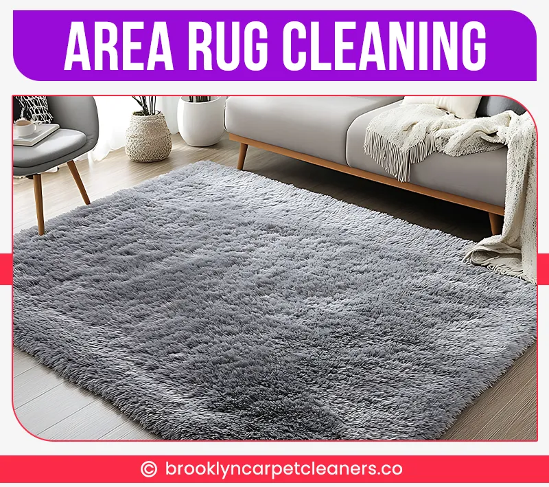 carpet cleaning in brooklyn, carpet cleaning in new york, carpet cleaning brooklyn, carpet cleaners in brooklyn, carpet cleaners in new york, commercial carpet cleaning, commercial carpet cleaning in brooklyn, brooklyn rug cleaners, rug cleaning services in brooklyn, same day carpet cleaning, same day rug cleaning