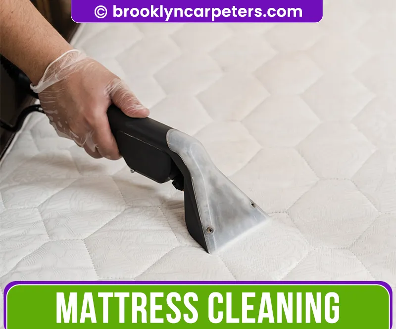 carpet cleaning in brooklyn, carpet cleaning in new york, carpet cleaning brooklyn, carpet cleaners in brooklyn, carpet cleaners in new york, commercial carpet cleaning, commercial carpet cleaning in brooklyn, brooklyn rug cleaners, rug cleaning services in brooklyn, same day carpet cleaning, same day rug cleaning