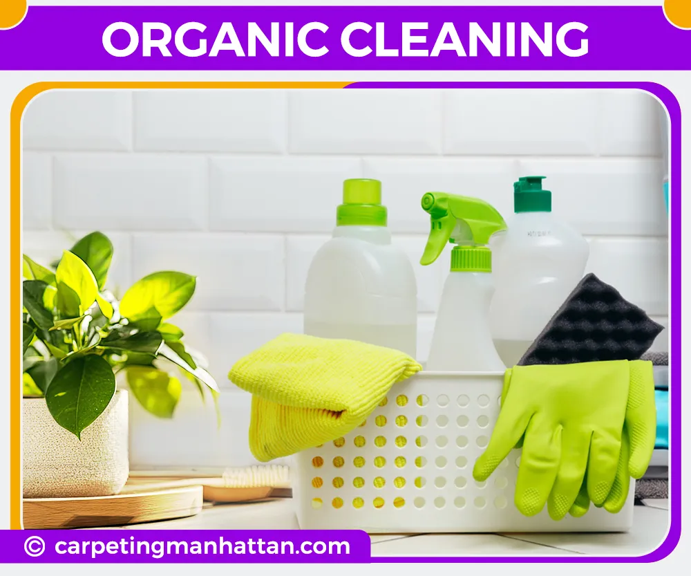 carpet cleaning in manhattan, carpet cleaning manhattan, carpet cleaners in manhattan, carpet cleaners in manhattan, commercial carpet cleaning, commercial carpet cleaning in manhattan, manhattan rug cleaners, rug cleaning services in manhattan, same day carpet cleaning, same day rug cleaning in manhattan