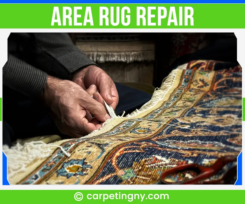 carpet cleaning in NY, carpet cleaning in new york, carpet cleaning NY, carpet cleaners in NY, carpet cleaners in new york, commercial carpet cleaning, commercial carpet cleaning in NY, NY rug cleaners, rug cleaning services in NY, same day carpet cleaning, same day rug cleaning