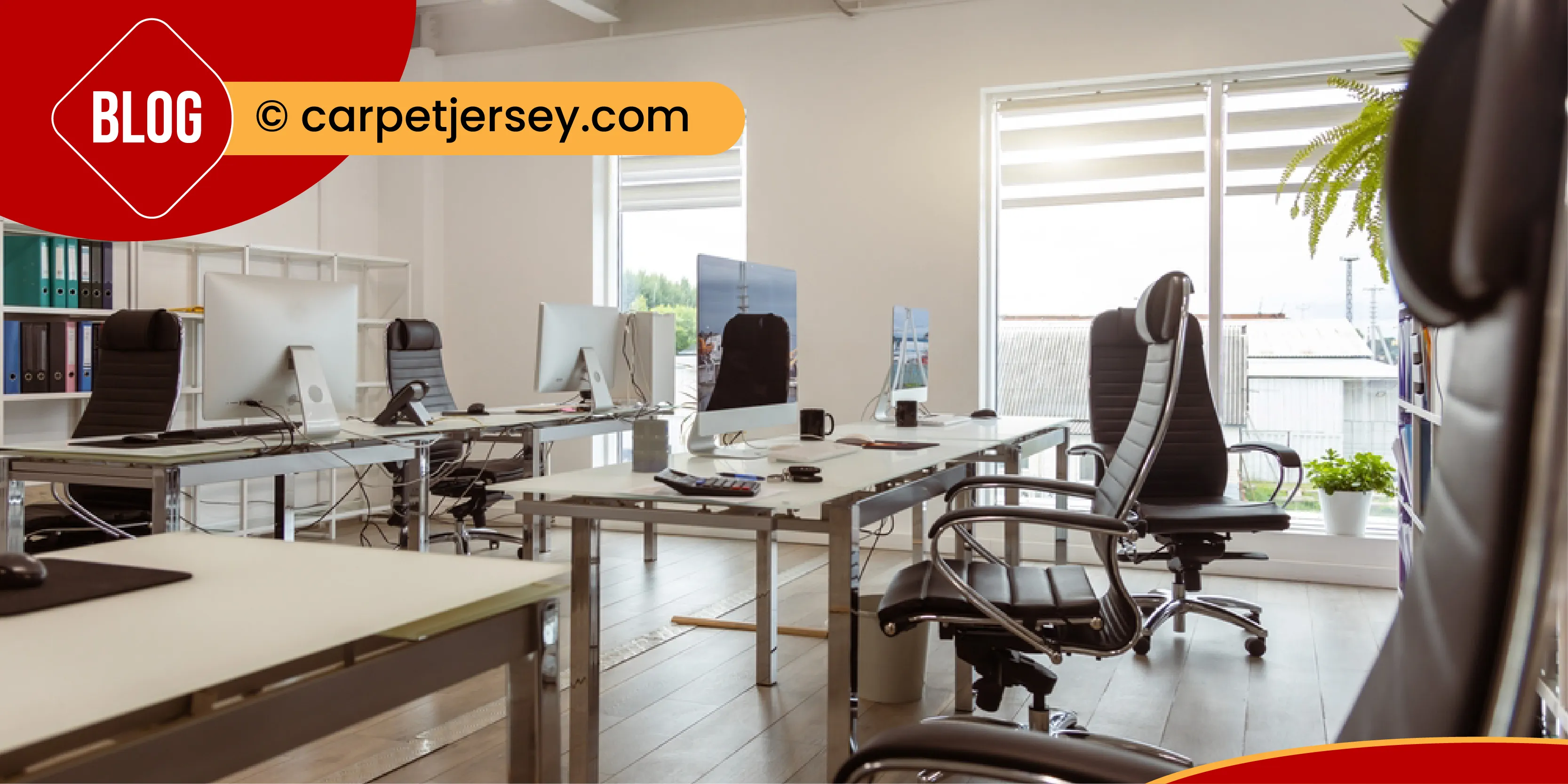 carpet cleaning in new jersey, carpet cleaning new jersey, carpet cleaners in new jersey, carpet cleaners in new jersey, commercial carpet cleaning, commercial carpet cleaning in new jersey, new jersey rug cleaners, rug cleaning services in new jersey, same day carpet cleaning, same day rug cleaning in new jersey, carpet cleaning in nj, carpet cleaning nj, carpet cleaners in nj, carpet cleaners in nj, commercial carpet cleaning, commercial carpet cleaning in nj, nj rug cleaners, rug cleaning services in nj, same day carpet cleaning, same day rug cleaning in nj