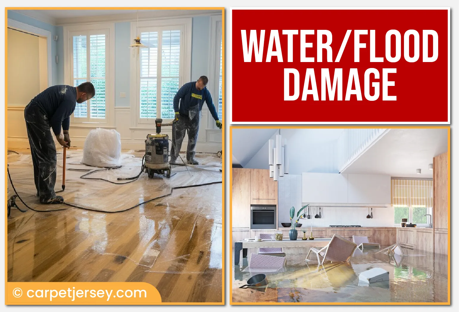 carpet cleaning in new jersey, carpet cleaning new jersey, carpet cleaners in new jersey, carpet cleaners in new jersey, commercial carpet cleaning, commercial carpet cleaning in new jersey, new jersey rug cleaners, rug cleaning services in new jersey, same day carpet cleaning, same day rug cleaning in new jersey, carpet cleaning in nj, carpet cleaning nj, carpet cleaners in nj, carpet cleaners in nj, commercial carpet cleaning, commercial carpet cleaning in nj, nj rug cleaners, rug cleaning services in nj, same day carpet cleaning, same day rug cleaning in nj