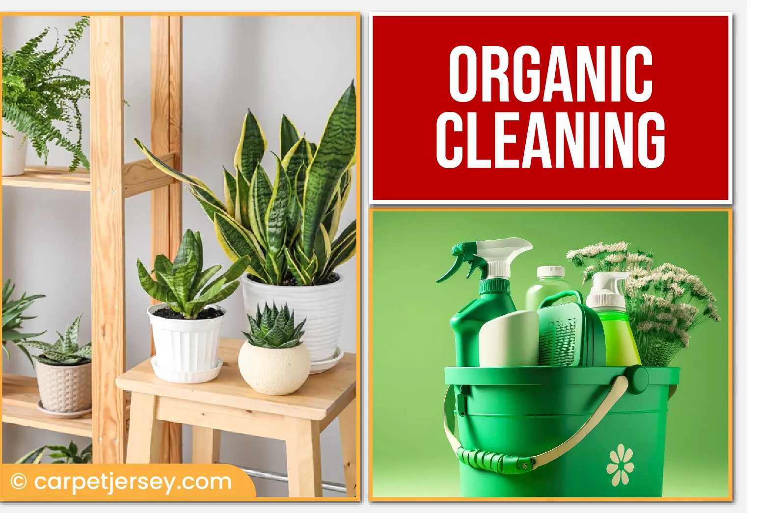 Organic Cleaning