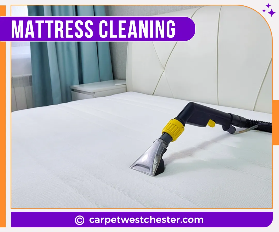 carpet cleaning in Westchester, carpet cleaning in the Westchester, carpet cleaning Westchester, carpet cleaners in Westchester, carpet cleaners in the Westchester, commercial carpet cleaning, commercial carpet cleaning in Westchester, Westchester rug cleaners, rug cleaning services in Westchester, same day carpet cleaning, same day rug cleaning