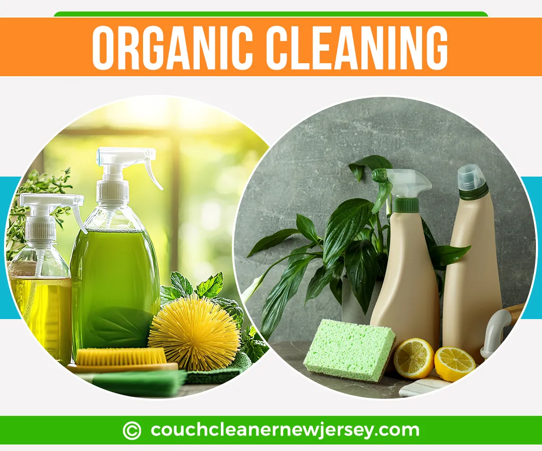 carpet cleaning in New Jersey, carpet cleaner in New Jersey, carpet cleaners in New Jersey, carpet cleaners in New Jersey, drapery cleaners in New Jersey, carpet cleaning in New Jersey, mattress cleaning in New Jersey, mattress cleaners in New Jersey, commercial carpet cleaning, commercial carpet cleaners in New Jersey, New Jersey rug cleaners, rug cleaning services in New Jersey same day carpet cleaning, same day rug cleaning