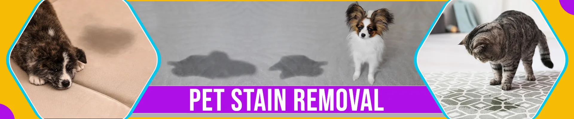 carpet cleaning in new York, carpet cleaning in new york, carpet cleaning new York, carpet cleaners in new York, carpet cleaners in new york, commercial carpet cleaning, commercial carpet cleaning in new York, new York rug cleaners, rug cleaning services in new York, same day carpet cleaning, same day rug cleaning